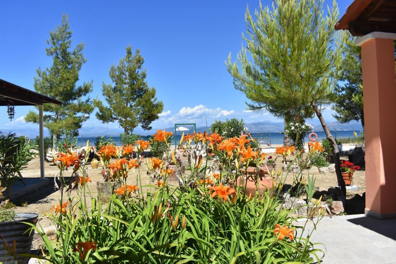 Bouka Beachfront Bungalows Agios Nikolaos  Экстерьер фото